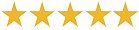 5 yellow stars in a row represent the rating of the lice treatment service.
